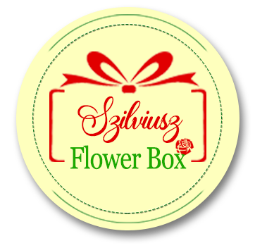 Szilviusz Flower Box