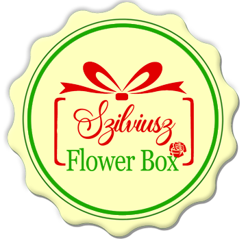 Szilviusz Flower Box